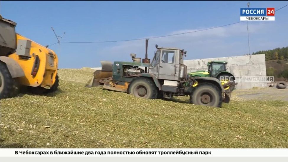 В Чувашии намолочено 957 тысяч тонн зерна