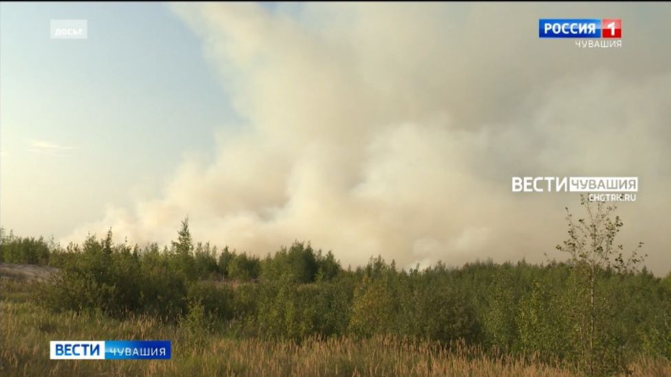 В Чувашии искры с железнодорожных путей стали причиной лесных пожаров