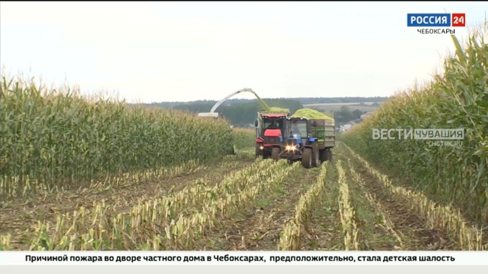 Правительство России выделило еще 45 млрд рублей на предоставление льготных кредитов аграриям