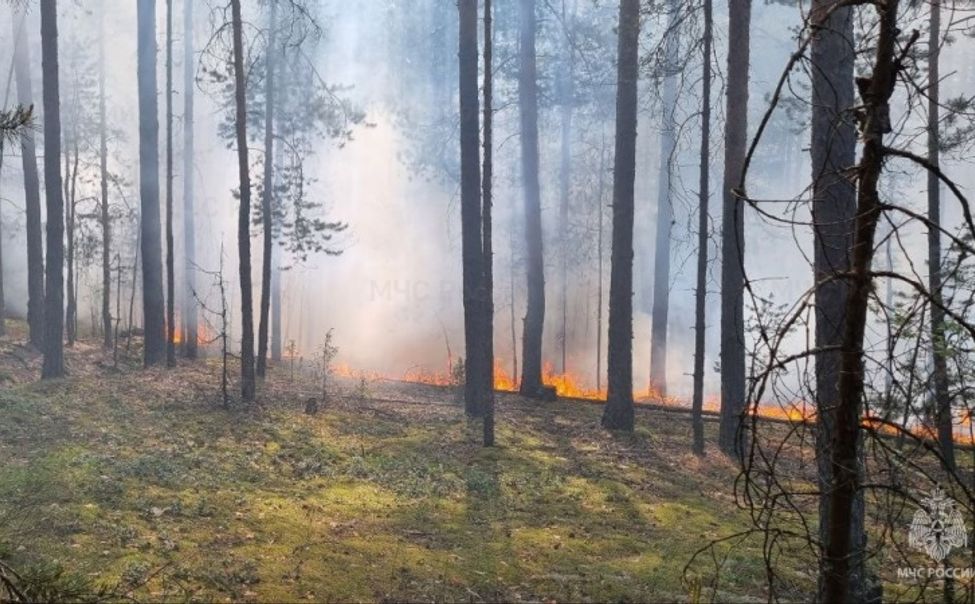 В Чебоксарах детская шалость стала причиной пожара в частном доме
