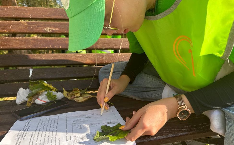 Ученики Урмарской школы заняли 2 место на VII Всероссийском съезде школьных лесничеств