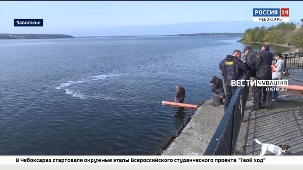 В Чебоксарское водохранилище выпустили более 38 тысяч мальков стерляди и сазана