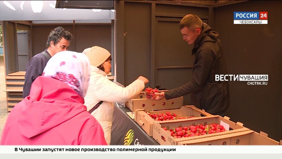 В Чебоксарах появился еще один фермерский рынок