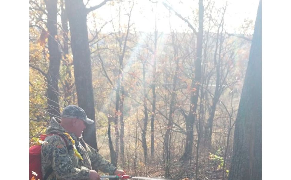 В Мариинско-Посадском округе произошел лесной пожар