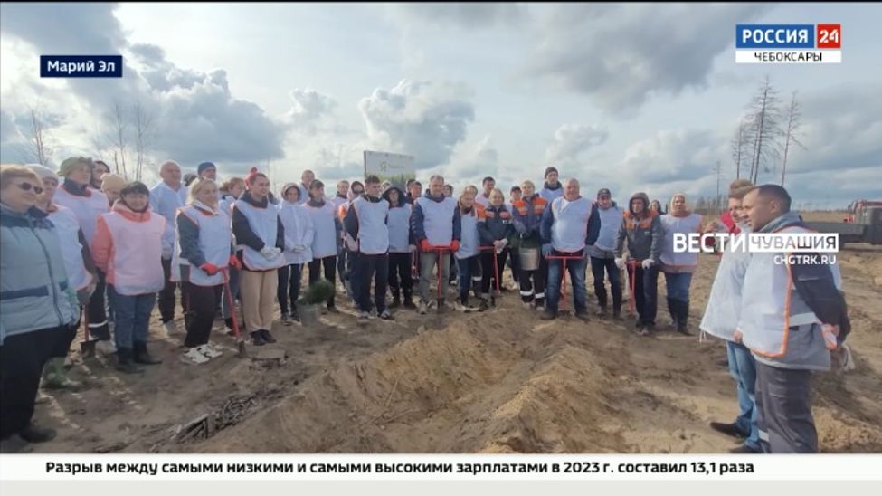 Чувашские и марийские энергетики поддержали Всероссийскую акцию "Сохраним лес"