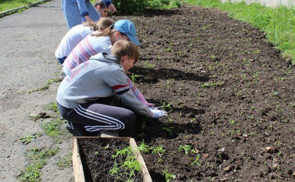Глава Чувашии осудил формальный подход к трудоустройству подростков