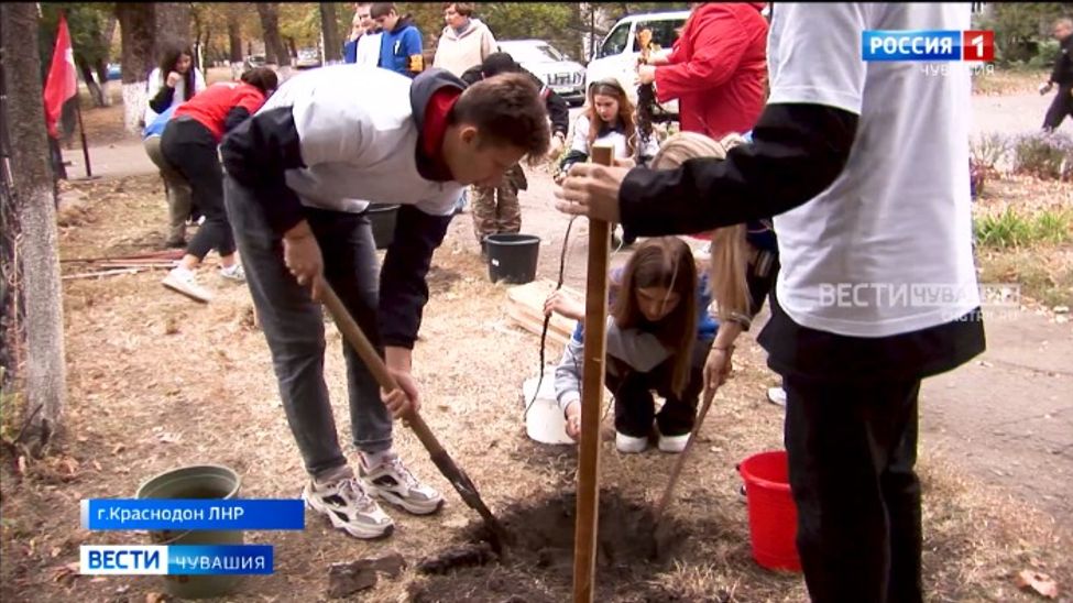 В городах ЛНР высадили 1000 деревьев из Чувашии