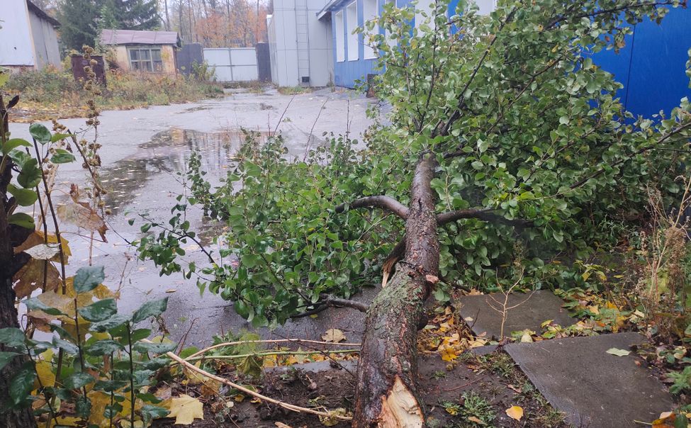 Обрушившийся на Чувашию ураган оставил без света 9 поселений в 3 округах