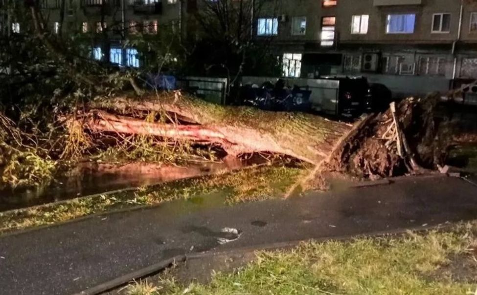 В Чебоксарах ураганный ветер повалил 12 деревьев 
