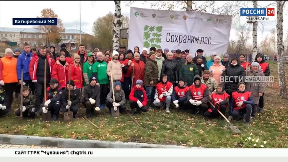 В Батыревском округе высадили 5,5 тысяч деревьев