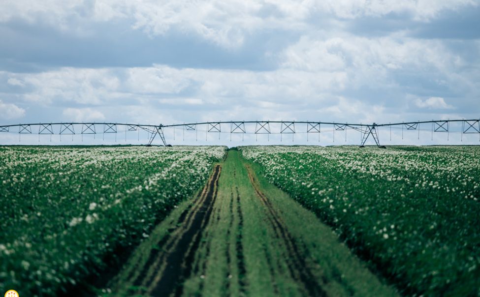 В Чувашии сняли режим ЧС, введенный из-за почвенной засухи

