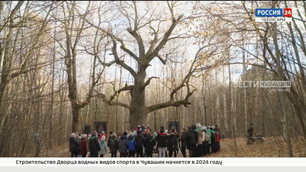 В Чувашии возле Старейшины чувашских дубрав открыли памятную табличку