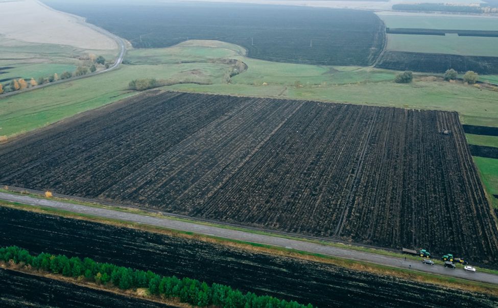 В Чувашии фермеры смогут получить в аренду земли сельхозназначения без торгов  