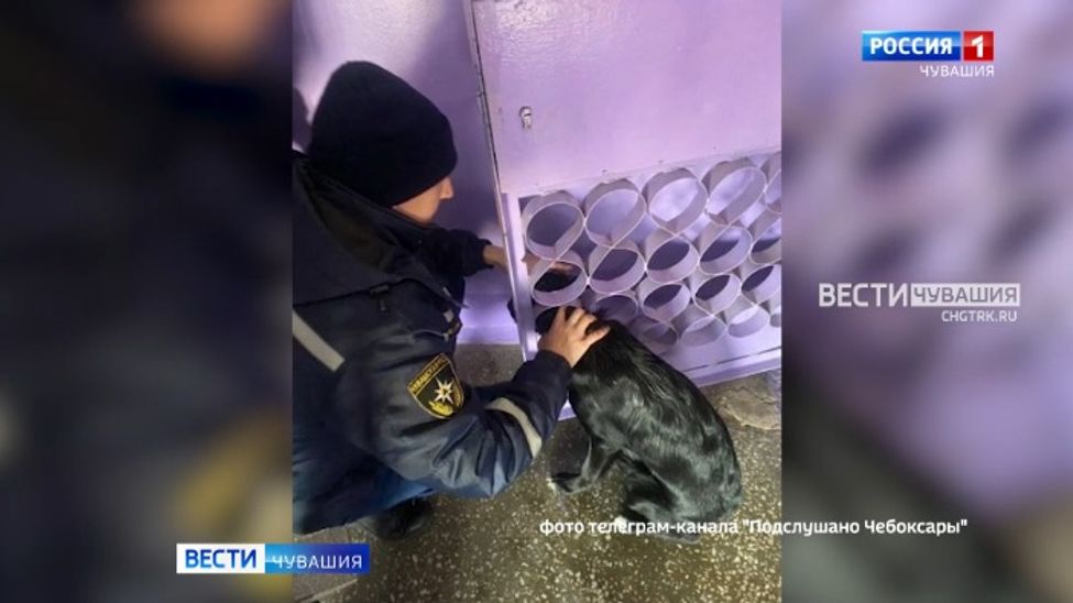 Мобильный репортер. Выпуск от 28.10.2023