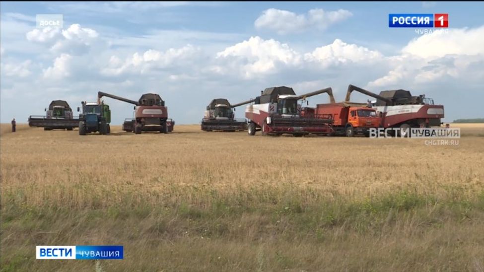 Аграрии Чувашии собрали более 965 тысяч тонн зерна