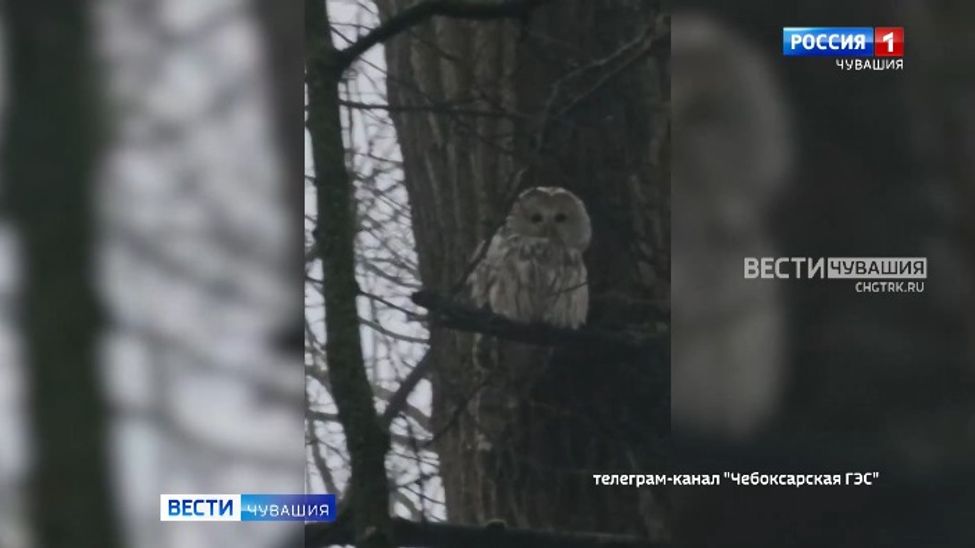 Мобильный репортер. Выпуск от 04.11.2023