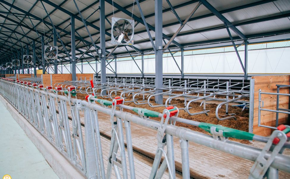 В Чувашии благодаря сельскохозяйственным инвестпроектам создадут 350 рабочих мест