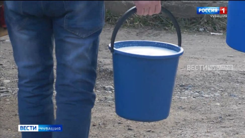 В Чувашии начали расти закупочные цены на молоко от населения