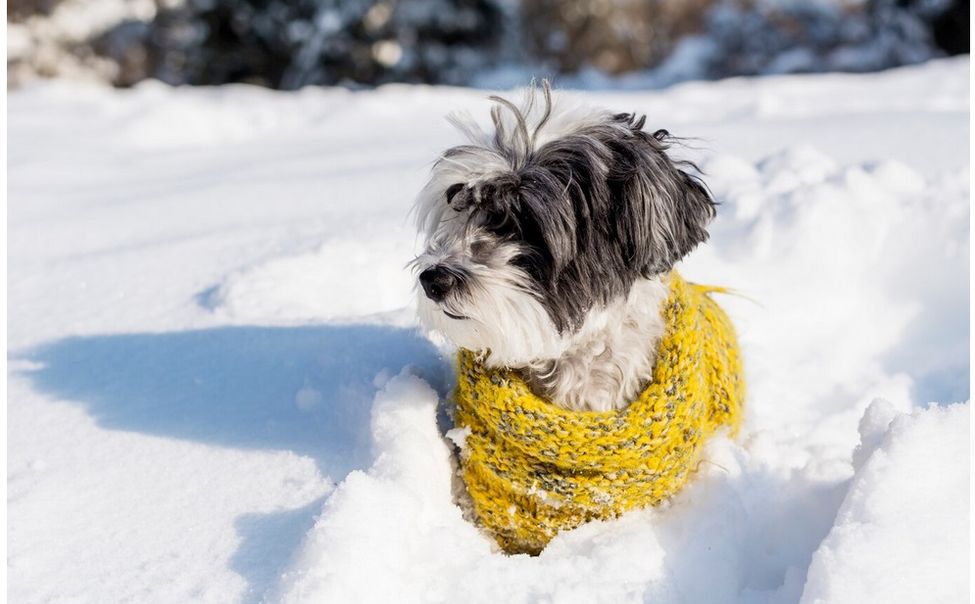 Чувашию наконец-то накрывают снегопады