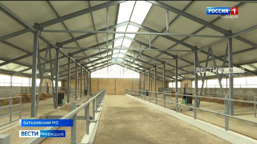 В Батыревском округе открыли новый откормочный цех на 250 голов