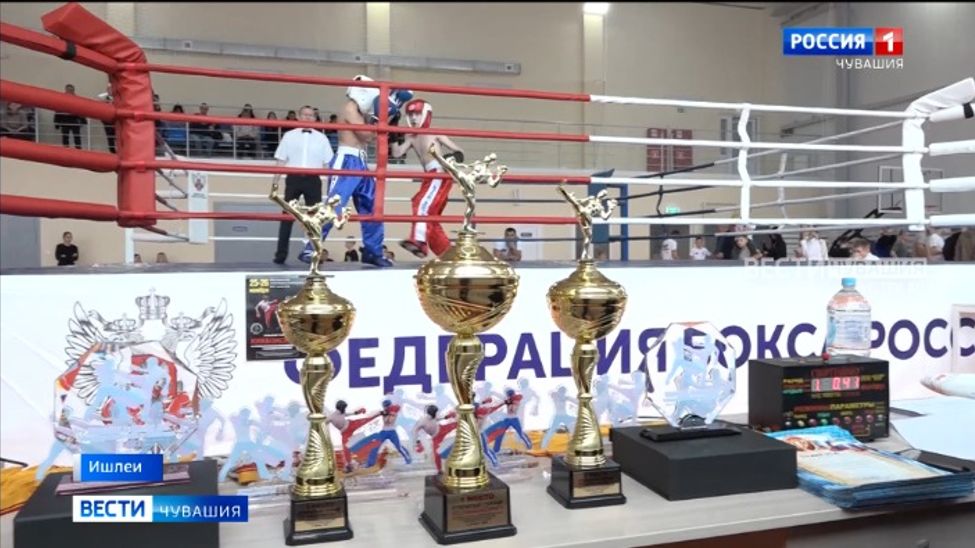 В Чувашии прошел турнир по кикбоксингу на призы ветеранов спецподразделений республики