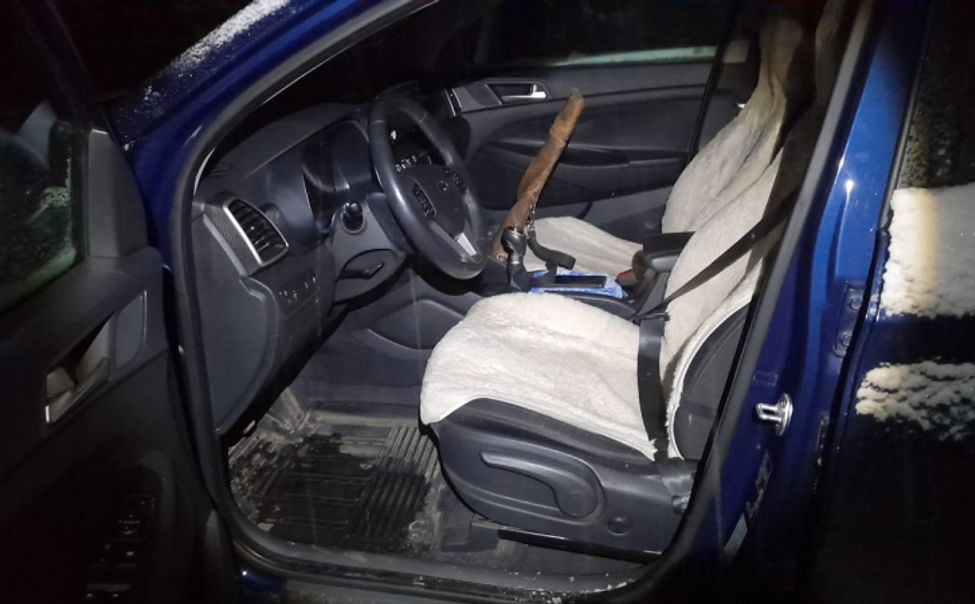 В Урмарском округе задержали браконьеров, застреливших лося