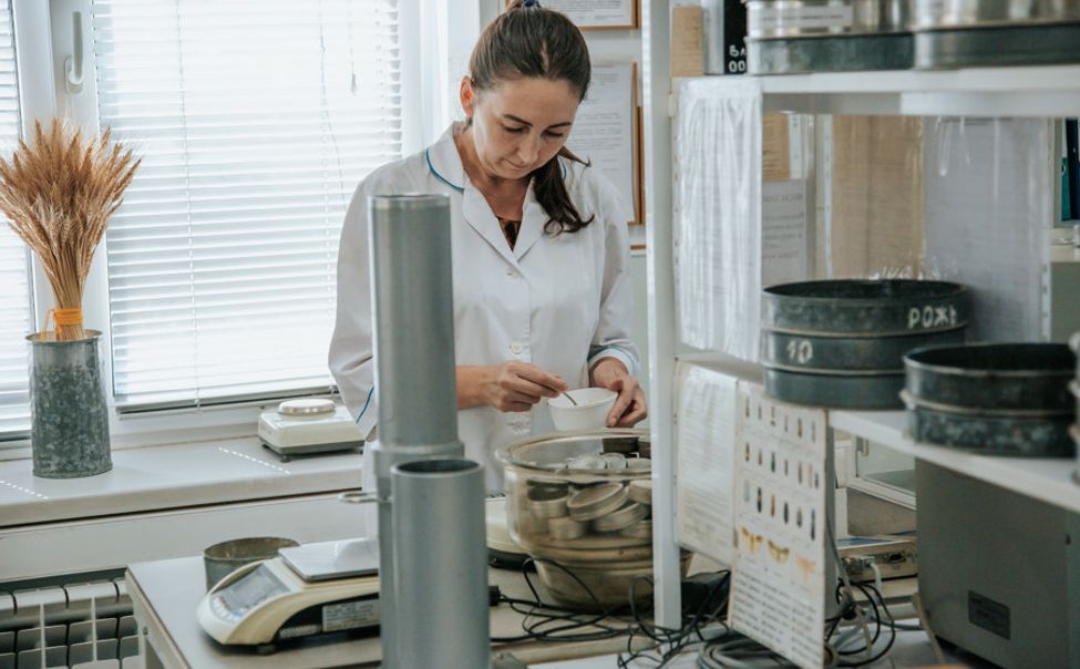 В Чувашии на 8% увеличилась доля кондиционных семян для весеннего сева