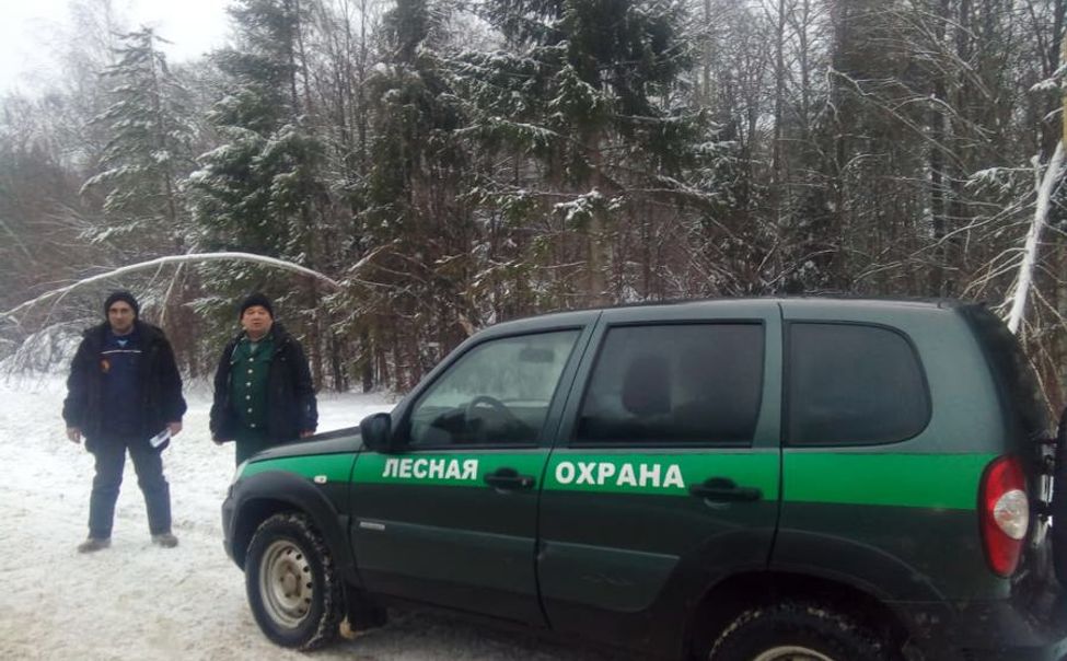 В Чувашии проводится усиленное патрулирование лесов 