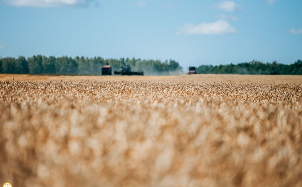 Чувашским аграриям выплатили более 400 млн рублей