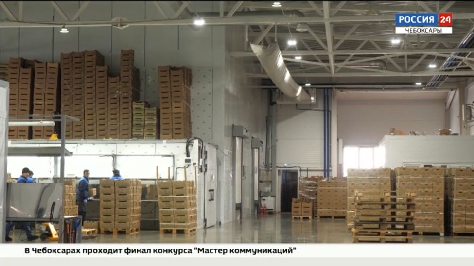 Сельхозтоваропроизводителям Чувашии помогут с реализацией товара в сетевых магазинах