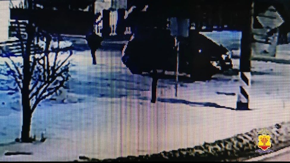 В Чувашии задержали мошенника, подозреваемого в хищении более 1 млн рублей