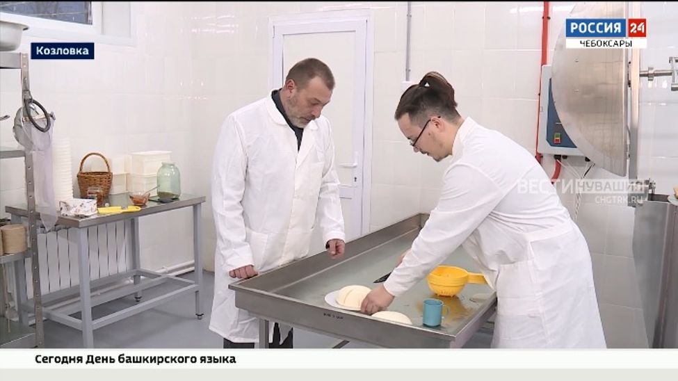 Сыровар из Чувашии планирует выпускать 20 тонн продукции в год