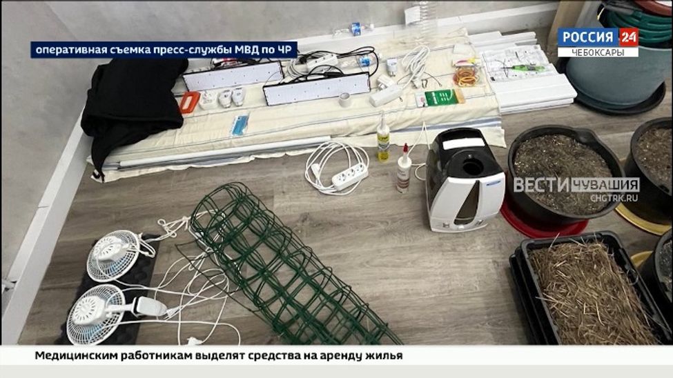 34-летний чебоксарец выращивал в своей квартире коноплю
