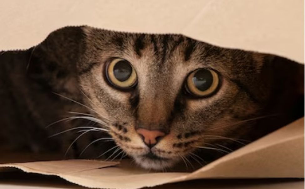 В Чувашии "порезвятся" циклоны