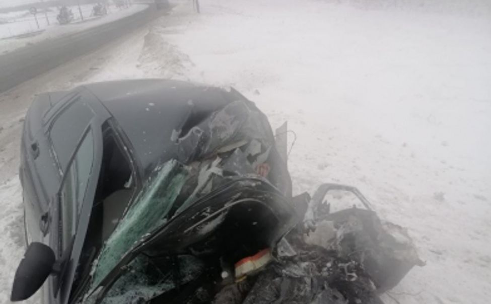 В Козловском округе в ДТП погиб мужчина