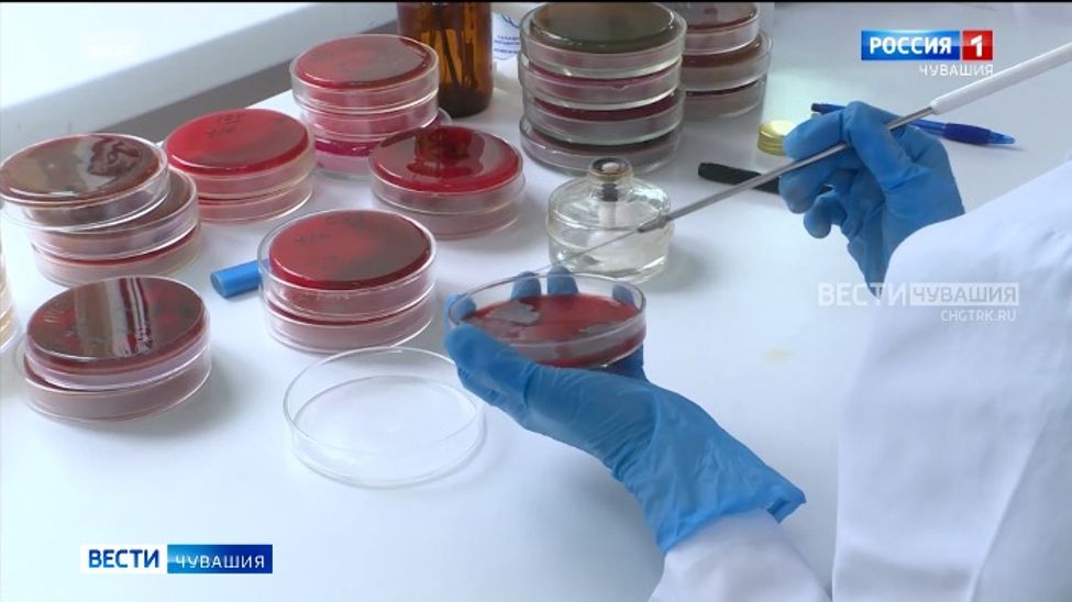 Заболеваемость пневмонией в Чувашии за неделю выросла на 12% 