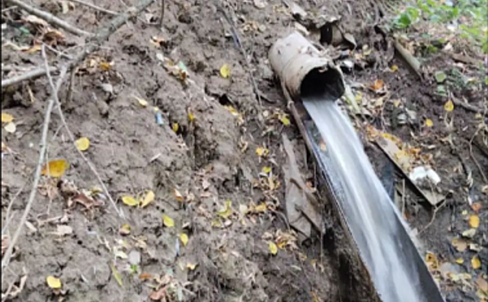 В Чувашии предприятие, загрязнявшее реку Рыкша, выплатило более 250 тысяч рублей компенсации