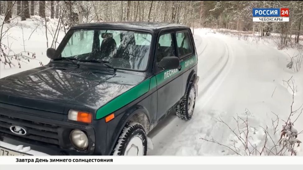 В преддверии Нового года в Чувашии усилили патрулирование лесов