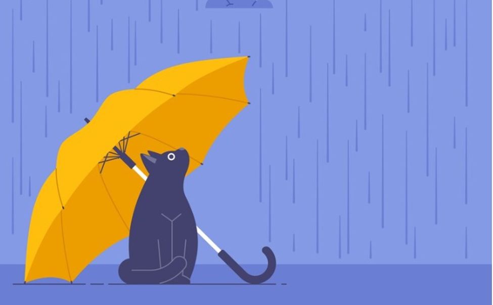 Анна Зимняя-Тёмная предвещает Чувашии тёплый Новый год