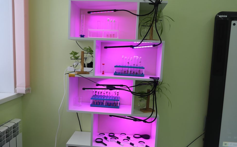 В детском саду "Радуга" Комсомольского округа открылась агролаборатория