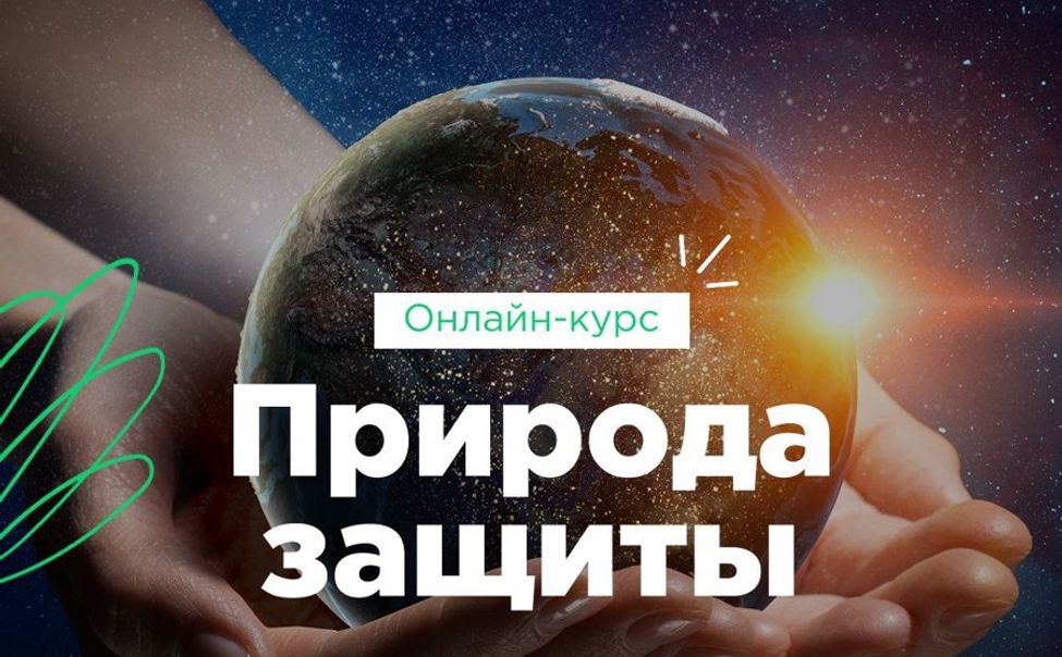 В Год экологии в Чувашии бесплатно займутся экопросвещением