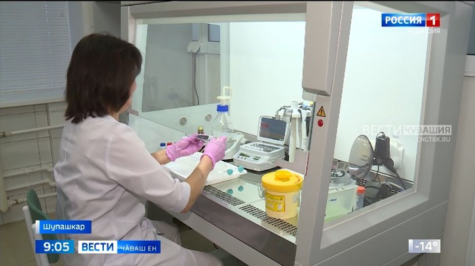 Симӗс ылтӑн туса илессине аталантарма пӗтӗм май пур халӗ