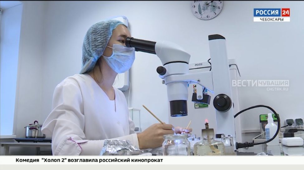 В Чувашии открылась уникальная лаборатория по комплексному анализу хмеля