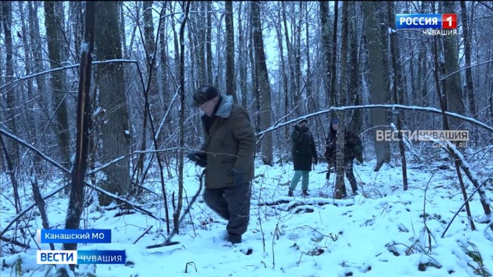 В Чувашии ищут двигатель разбившегося в годы ВОВ бомбардировщика 