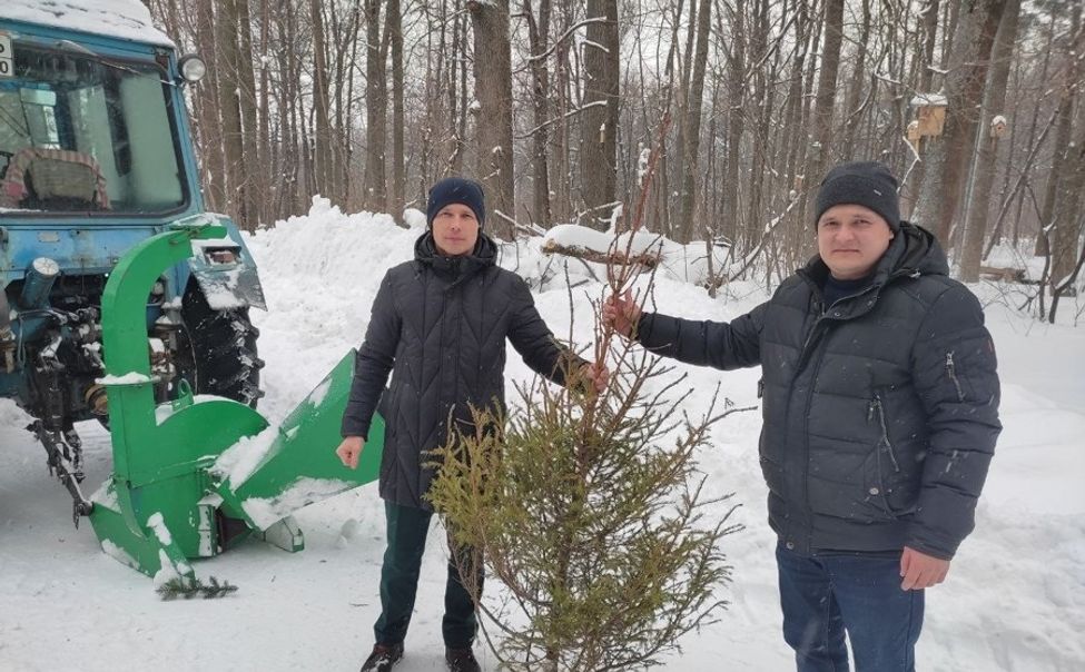 Чебоксарцы смогут сдать ёлки на переработку 