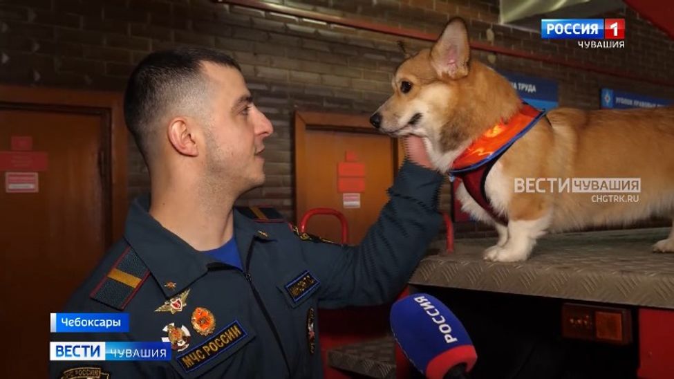 Пушистый «спецназ» помогает чебоксарским пожарным на службе 