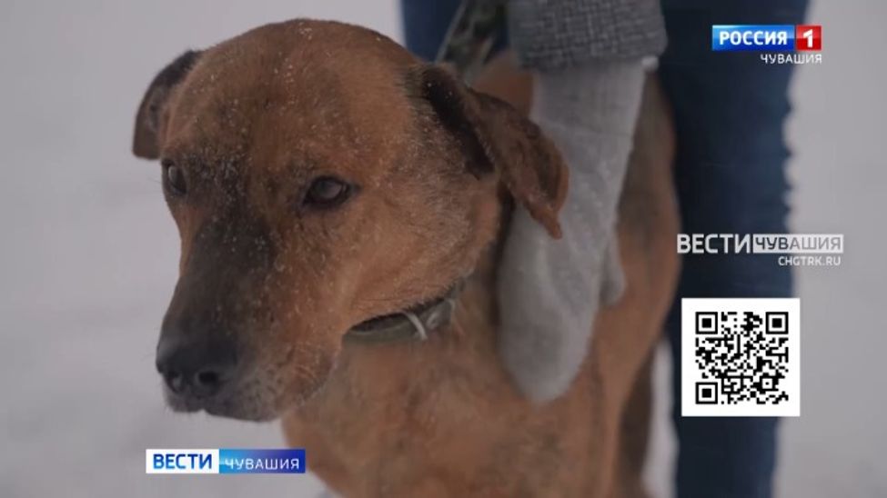 Проект "Найди друга". №58. Брут