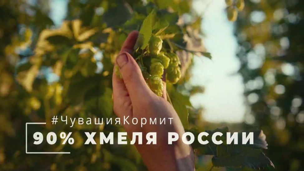 Минсельхоз приглашает на аграрные дни Чувашии на ВДНХ