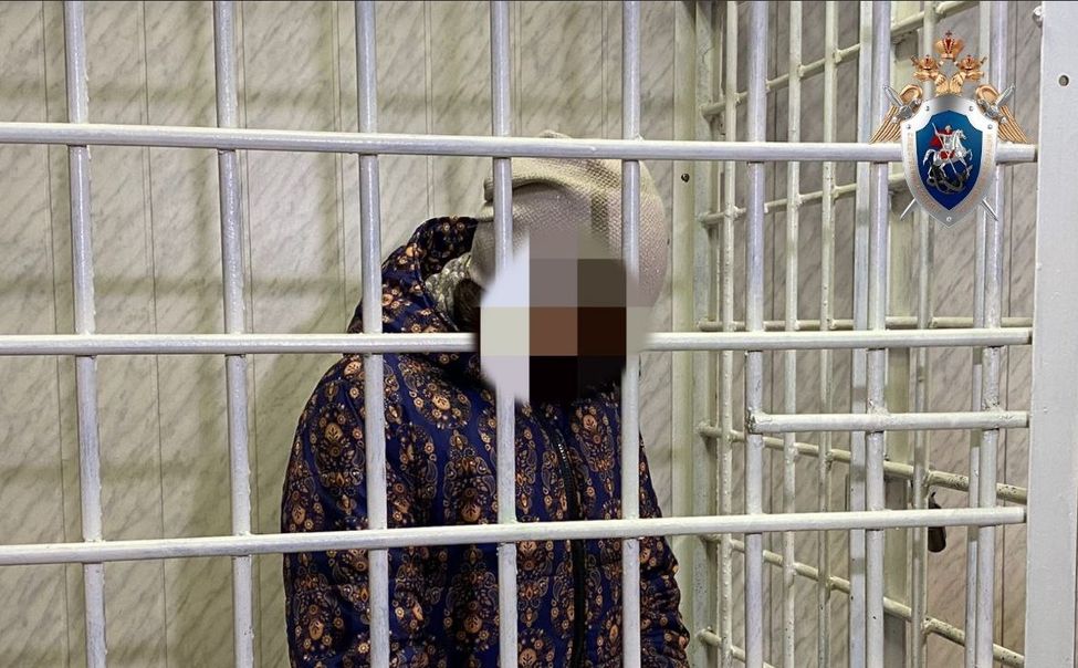 В Чувашии подозреваемую в грабеже, поджоге школы и теракте взяли под стражу