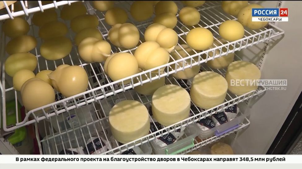 В Чувашии производится более 2,5 тысяч тонн сыра